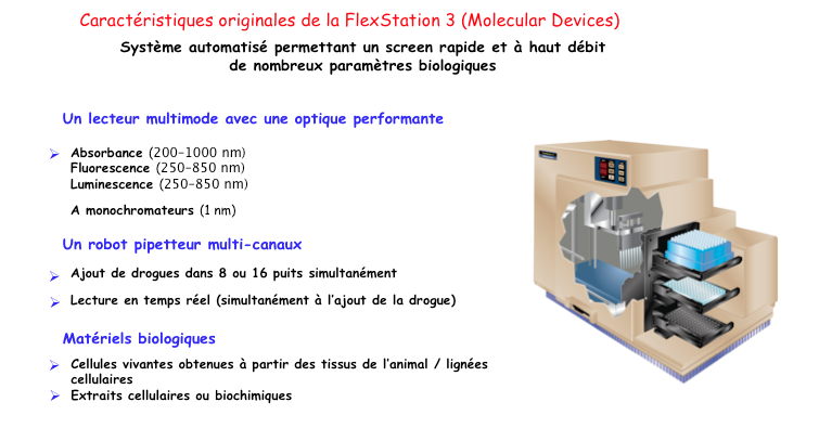 felxstation fr